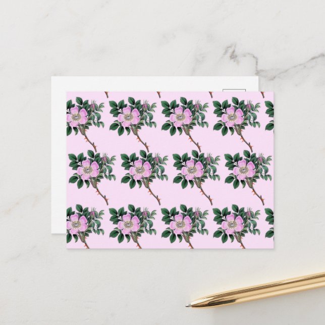 Pink Flowers, Wild Roses, Dog Rose, Floral Pattern Postcard (Front/Back In Situ)