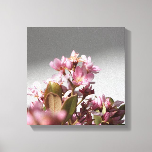 Pink Flowers Wrapped Canvas (Front)