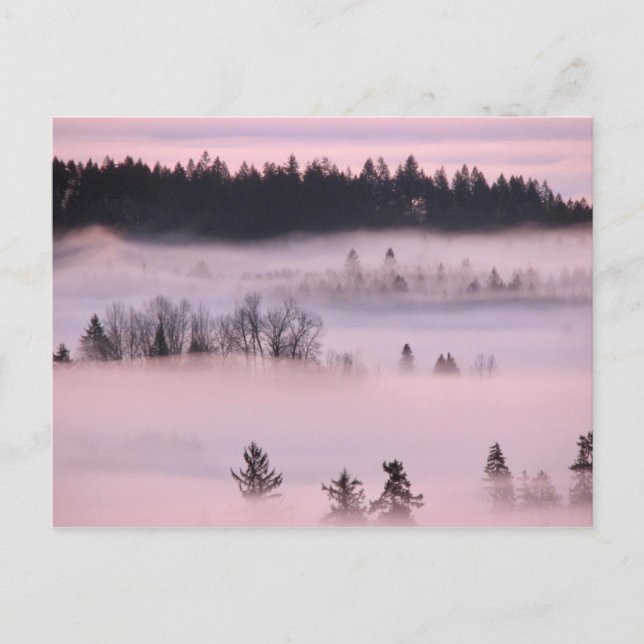 Pink Fog Blanket. Postcard (Front)