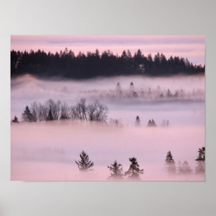Pink Fog Blanket. Poster