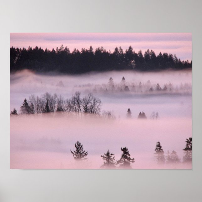 Pink Fog Blanket. Poster (Front)