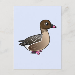 Pink-footed Goose Postcard