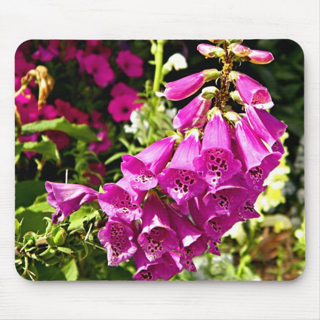 Pink Foxglove flowers Mouse Pad (Front)