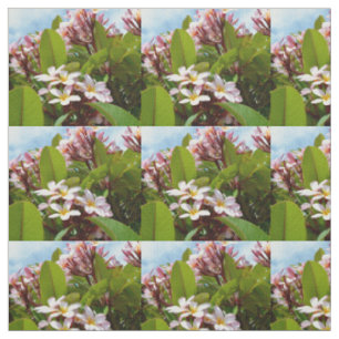 Pink Frangipani Flower Tree, Fabric