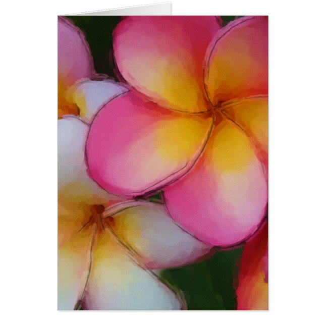 Pink Frangipani Plumeria Flowers (Front)
