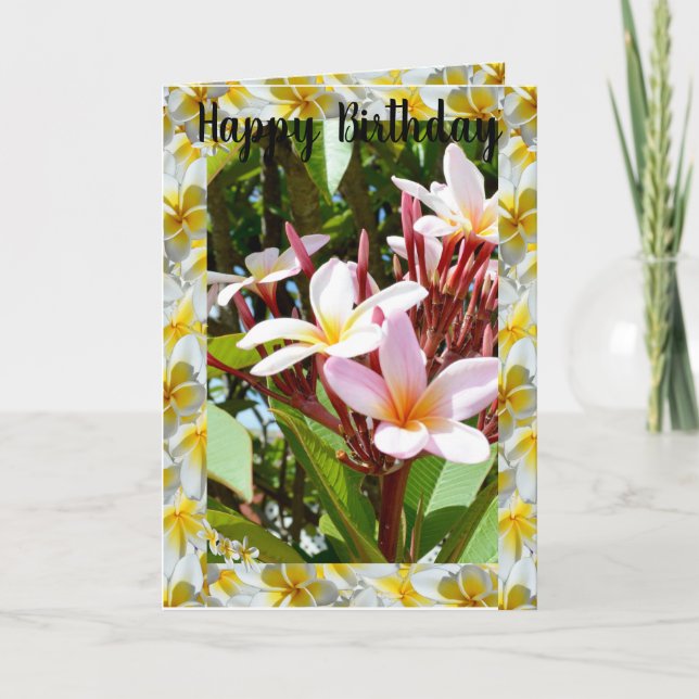 Pink Frangipani Tree, Folded Greeting Card (Front)