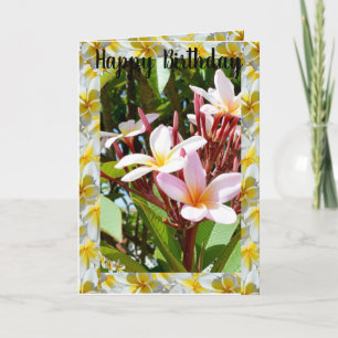 Pink Frangipani Tree, Folded Greeting Card