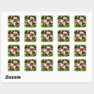 Pink Frangipani Tree In Flower, Square Sticker