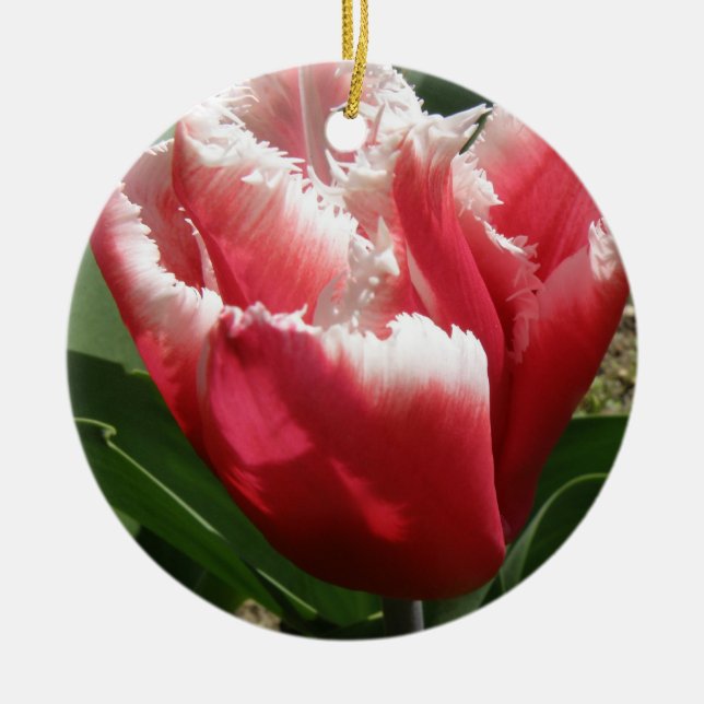 Pink Fringed Tulip Custom Birthday Ceramic Ornament (Front)