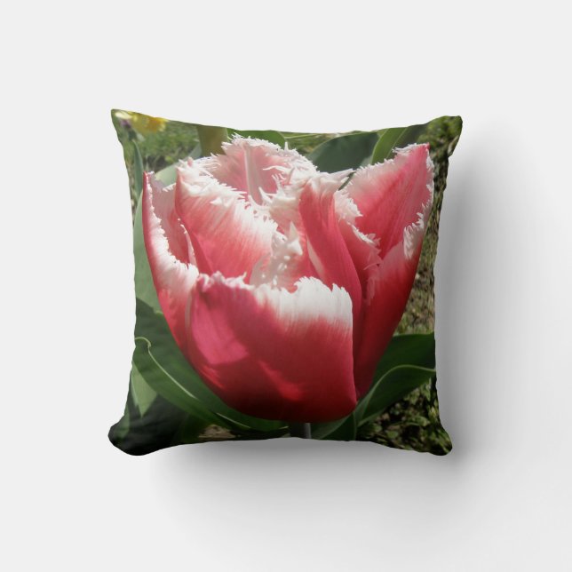 Pink Fringed Tulip Pillow (Front)