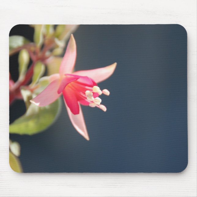 Pink Fuchsia Mousepad (Front)