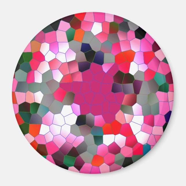 Pink Fun...... Magnet (Front)