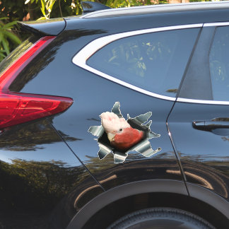 Pink Galah Parrot Sticker – Australian Bird Decal