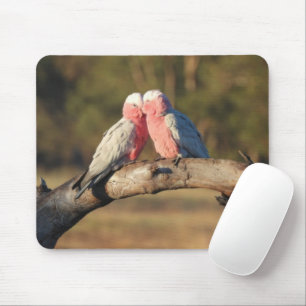 Pink Galahs Mouse Pad