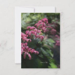 Pink Garden Flower Card