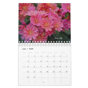 Pink Garden Flowers Calendar