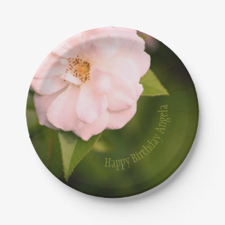 Pink Garden Rose  Paper Plate
