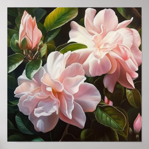 Pink Gardenias Flower Art Print Poster