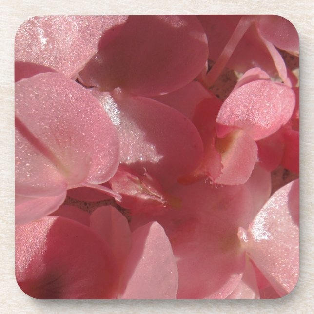 Pink geranium: almost solid Light pink Coaster (Front)
