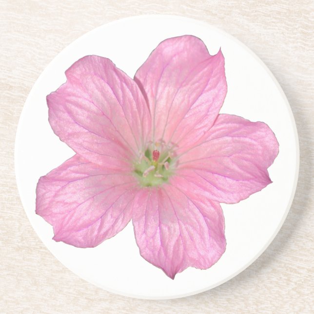 Pink Geranium Coaster (Front)