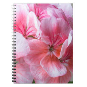 Pink geranium flower notebook