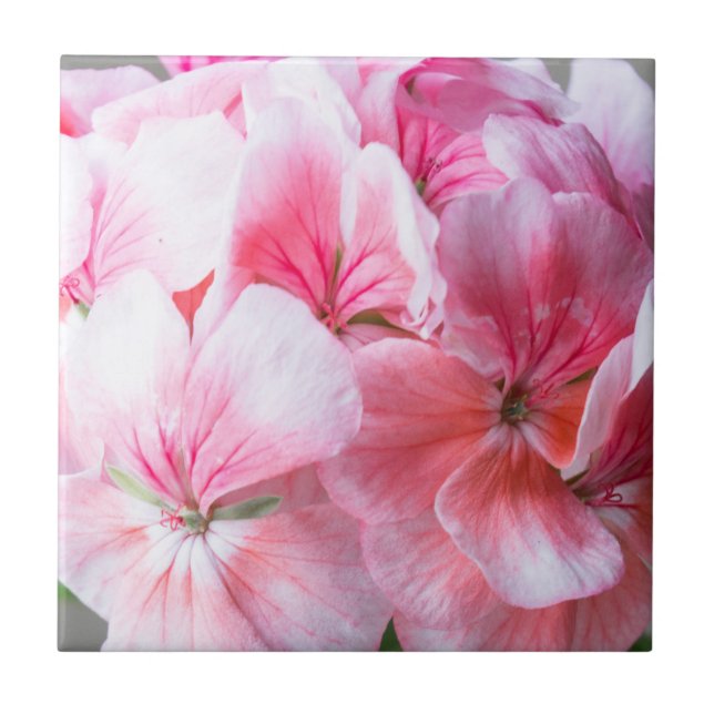 Pink geranium flower tile (Front)