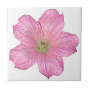 Pink Geranium Tile