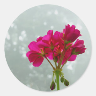 Pink Geraniums Floral Stickers