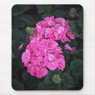 Pink Geraniums Mouse Pad