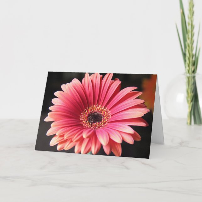 Pink Gerber Card (Front)