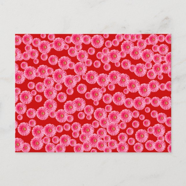 Pink Gerber Daisies Postcard (Front)