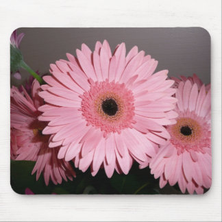 Pink Gerber Daisy Mouse Pad