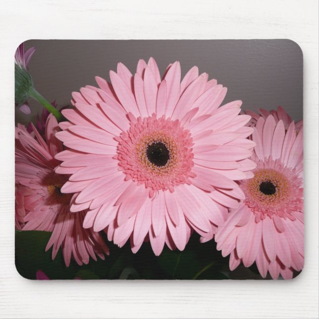 Pink Gerber Daisy Mouse Pad (Front)