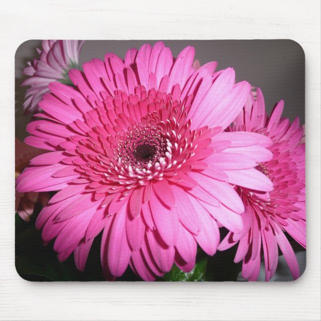 Pink Gerber Daisy Mouse Pad (Front)