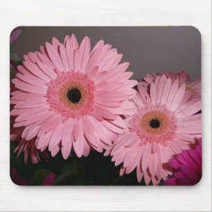 Pink Gerber Daisy Mouse Pad