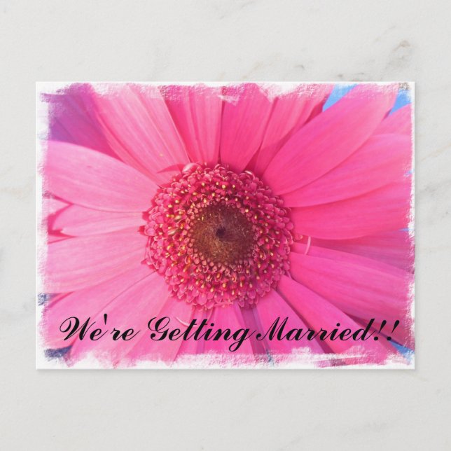 Pink Gerber Daisy Wedding Invitation Postcard (Front)