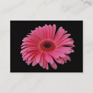 Pink Gerbera Black ACEO Business Card