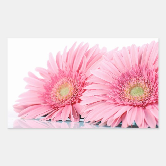 Pink Gerbera Daisies Elegant Photo Sticker (Front)