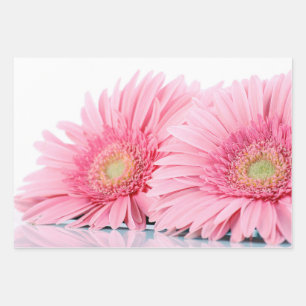  Pink Gerbera Daisies Elegant Photography Wrapping Paper Sheet