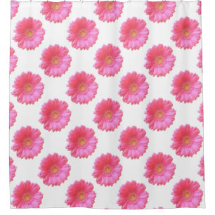 Pink gerbera daisy