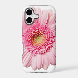 Pink Gerbera Daisy