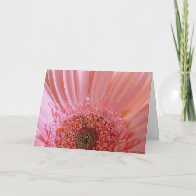Pink Gerbera Daisy #731 Card (Front)