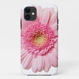 Pink Gerbera Daisy iPhone 11 Case