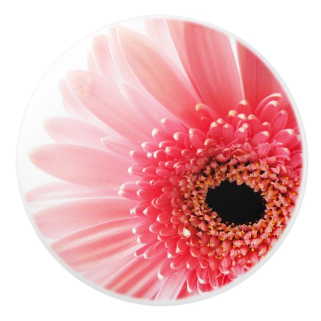 Pink Gerbera Daisy Ceramic Knob (Front)