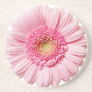 Pink Gerbera Daisy Coaster