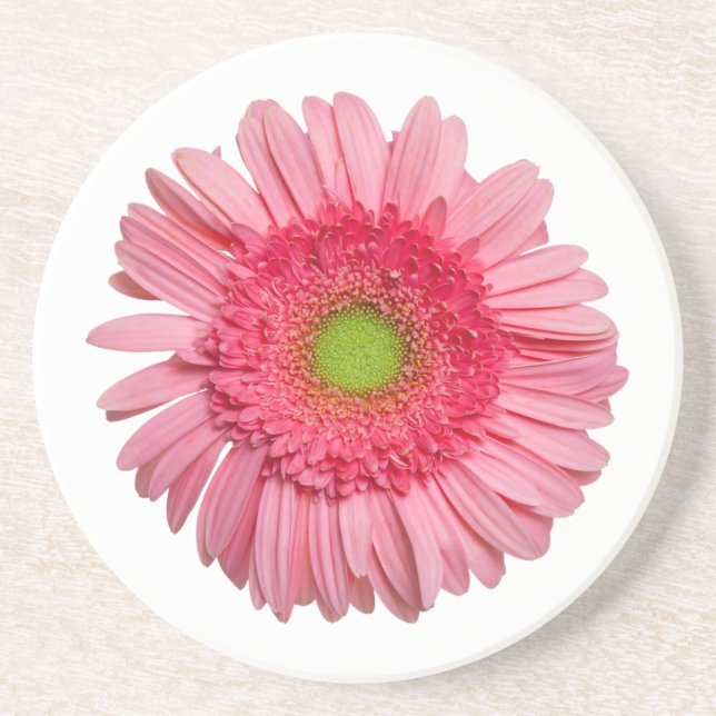 Pink Gerbera Daisy Coaster (Front)