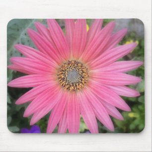 Pink Gerbera Daisy Flowers Mousepad