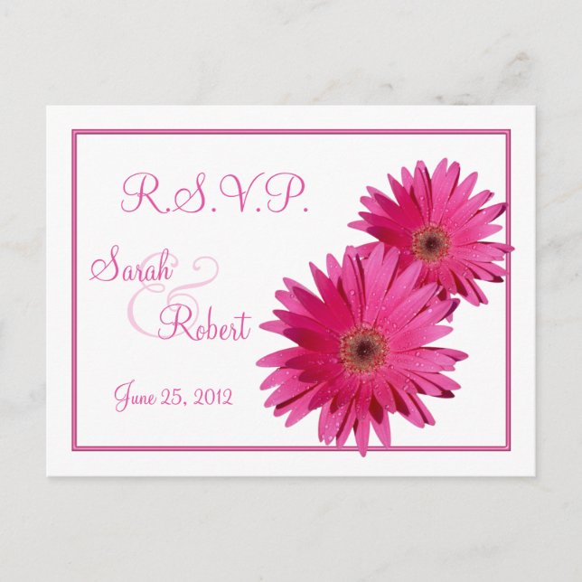Pink Gerbera Daisy Flowers RSVP Postcard (Front)