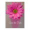Pink Gerbera Daisy in Vase Wedding Save the Date