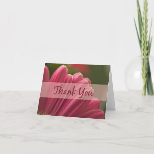 Pink Gerbera Daisy Merci Cartes